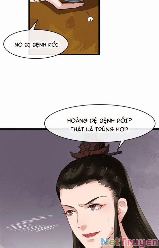 Bồng Sơn Viễn 2 36 trang 31