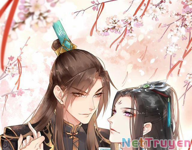 Bồng Sơn Viễn 2 37 trang 0