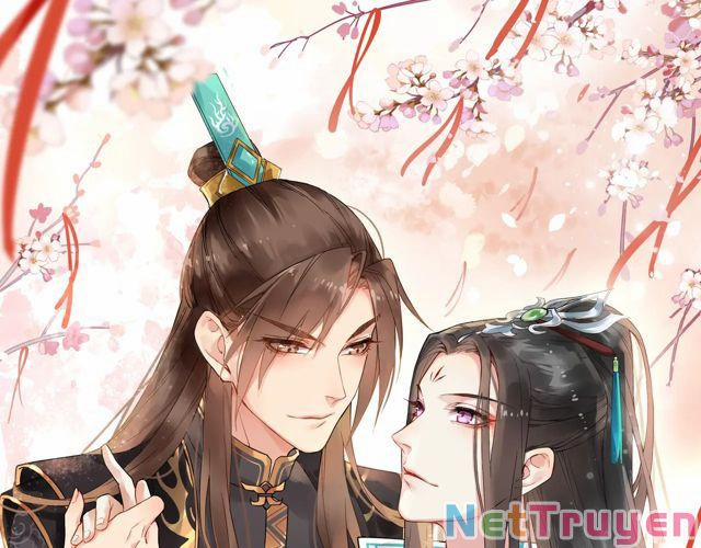 Bồng Sơn Viễn 2 39 trang 0