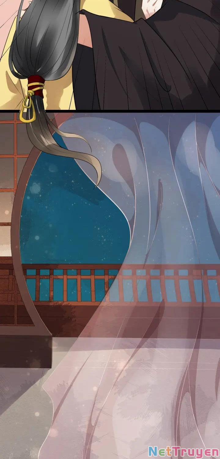 Bồng Sơn Viễn 2 45 trang 29