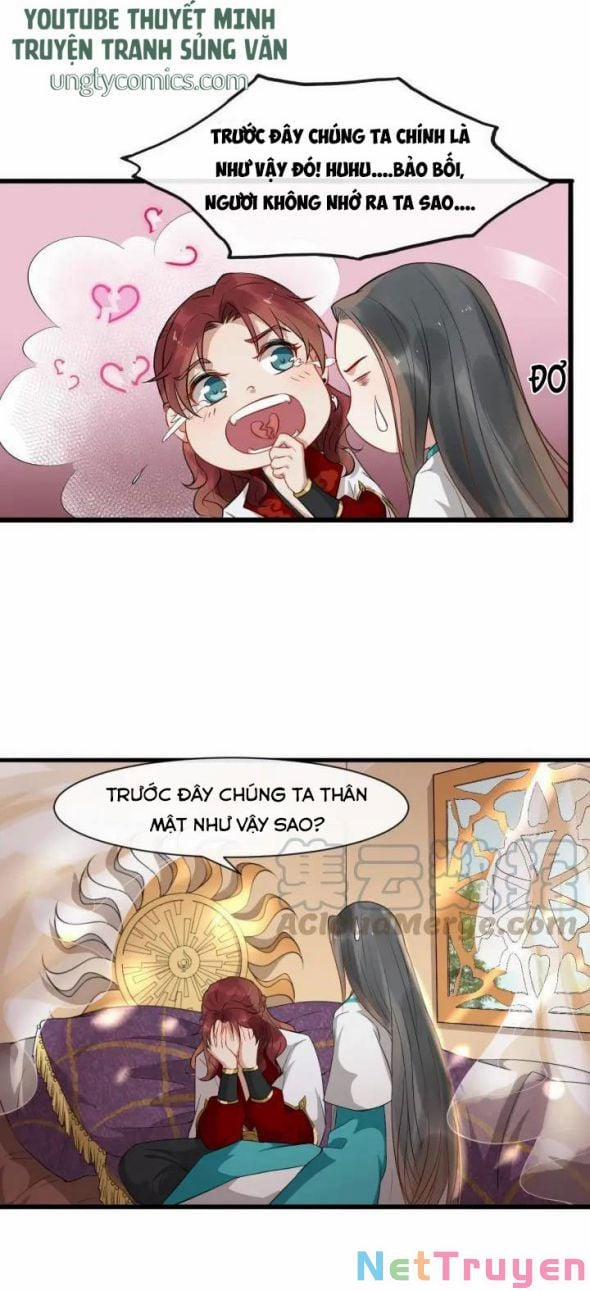 Bồng Sơn Viễn 2 7 trang 8