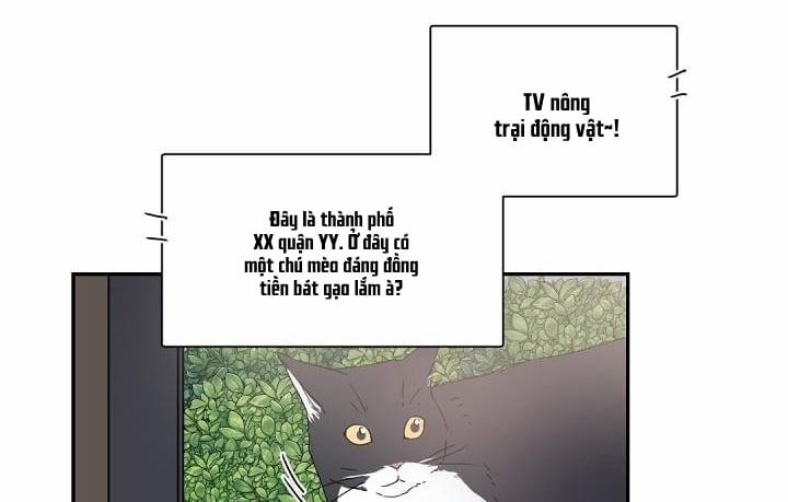 Boss Bitch Baby 29 trang 65