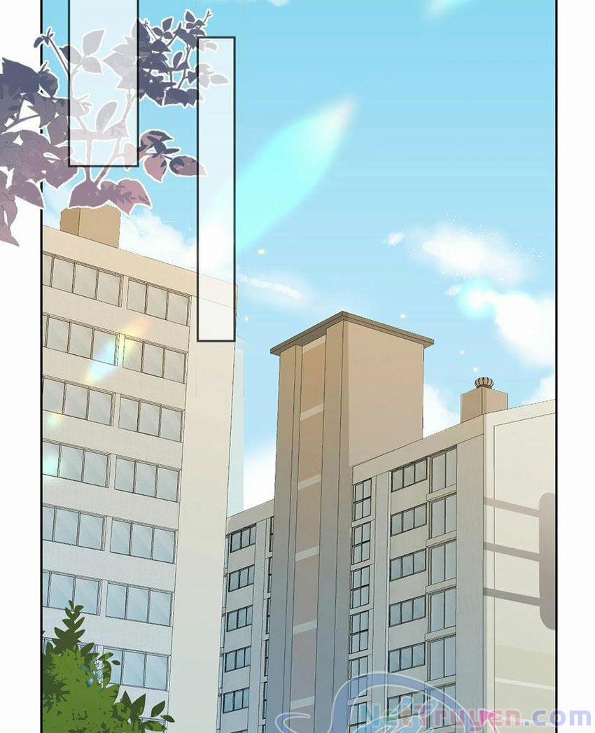 Boss Đại Nhân Là Nữ Thần? 49 trang 16