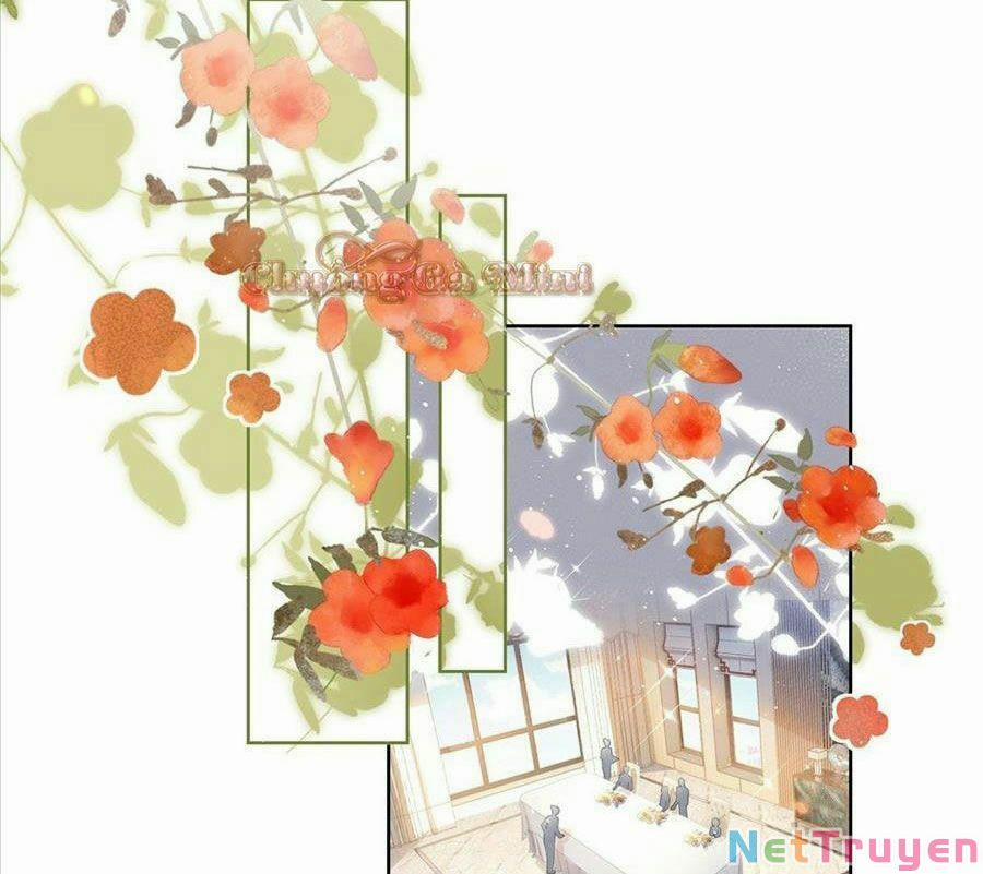 Boss Sát Thủ Dưỡng Hồ Yêu 12 trang 62