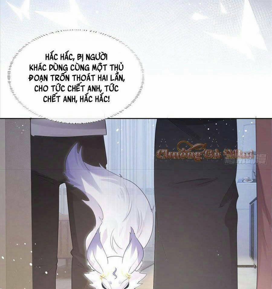 Boss Sát Thủ Dưỡng Hồ Yêu 13 trang 31