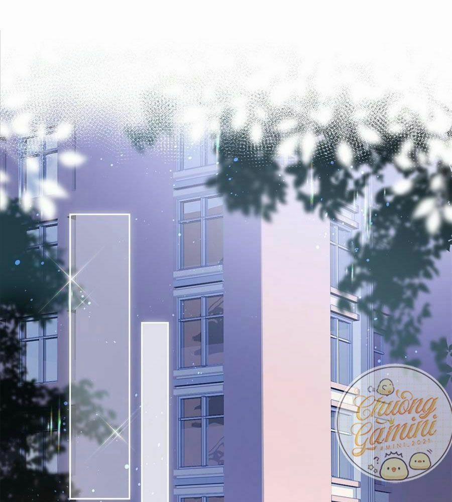 Boss Sát Thủ Dưỡng Hồ Yêu 14 trang 41