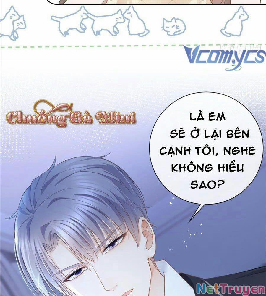 Boss Sát Thủ Dưỡng Hồ Yêu 15 trang 33