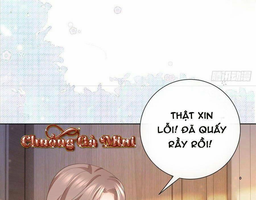 Boss Sát Thủ Dưỡng Hồ Yêu 16 trang 4