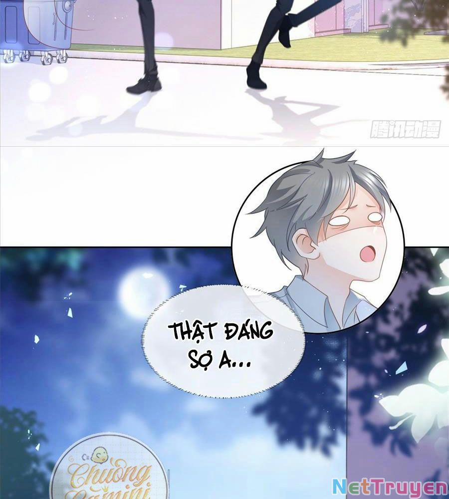 Boss Sát Thủ Dưỡng Hồ Yêu 17 trang 19