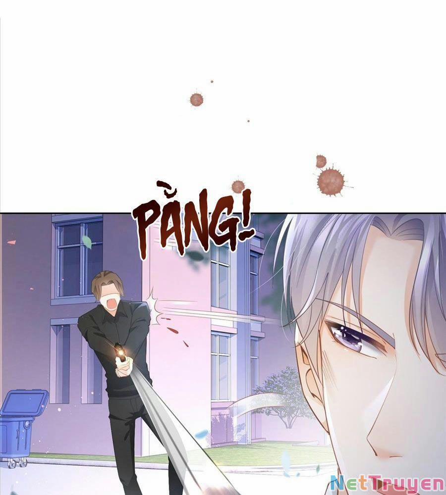 Boss Sát Thủ Dưỡng Hồ Yêu 17 trang 7