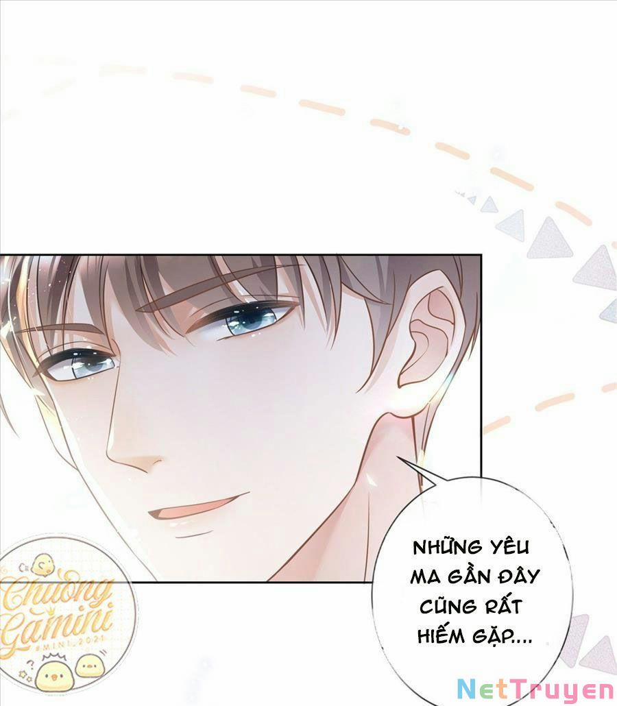 Boss Sát Thủ Dưỡng Hồ Yêu 18 trang 34