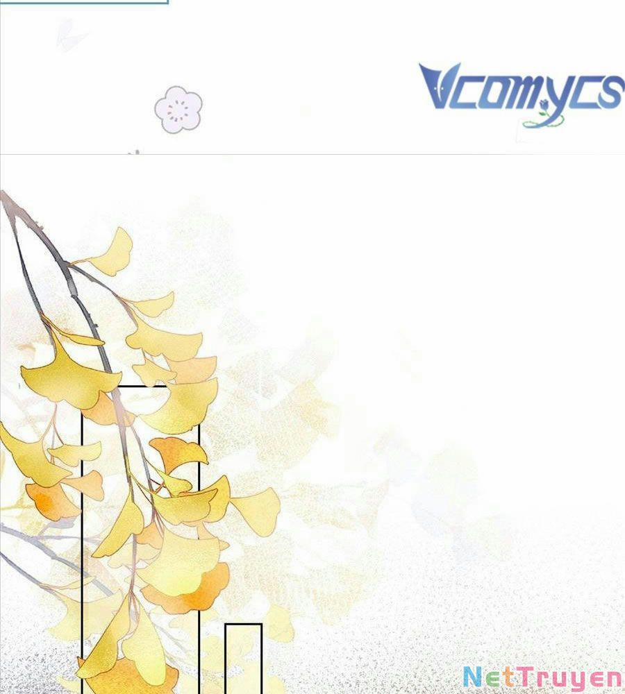 Boss Sát Thủ Dưỡng Hồ Yêu 19 trang 19