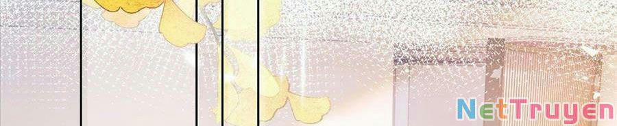 Boss Sát Thủ Dưỡng Hồ Yêu 19 trang 20