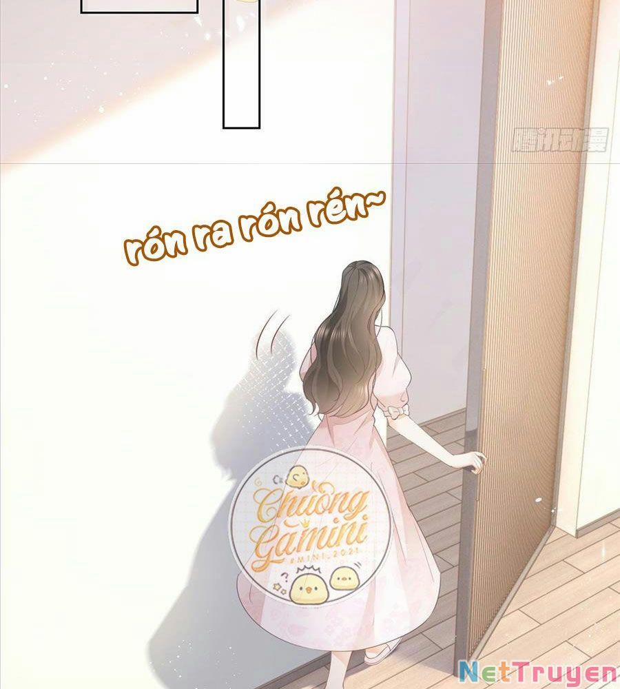 Boss Sát Thủ Dưỡng Hồ Yêu 19 trang 21