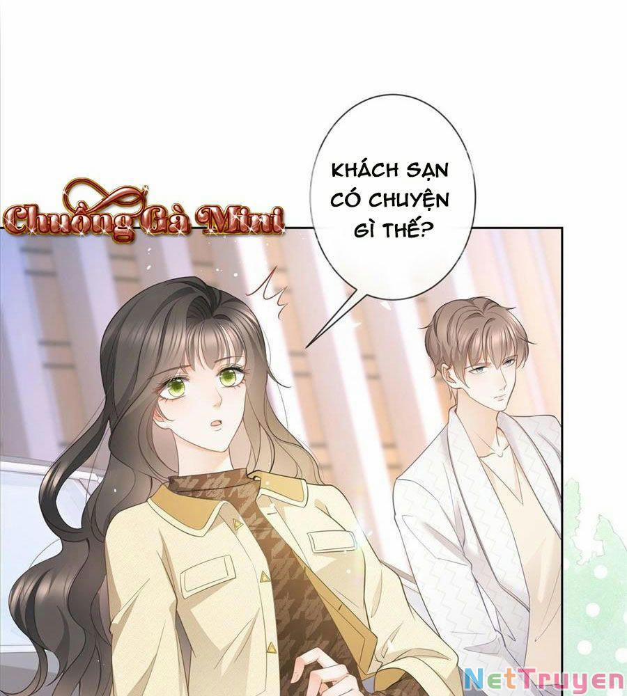 Boss Sát Thủ Dưỡng Hồ Yêu 19 trang 37