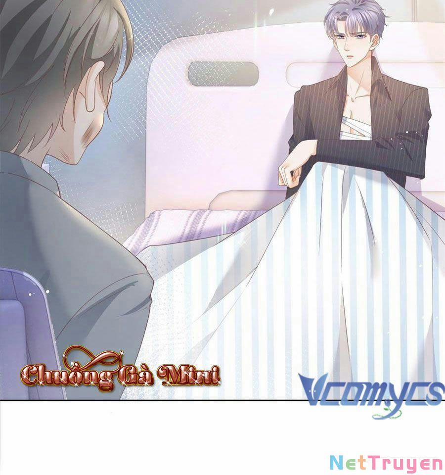 Boss Sát Thủ Dưỡng Hồ Yêu 19 trang 8