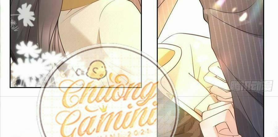 Boss Sát Thủ Dưỡng Hồ Yêu 21 trang 4