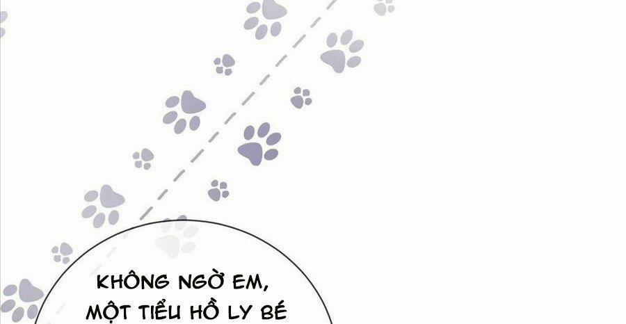 Boss Sát Thủ Dưỡng Hồ Yêu 22 trang 134