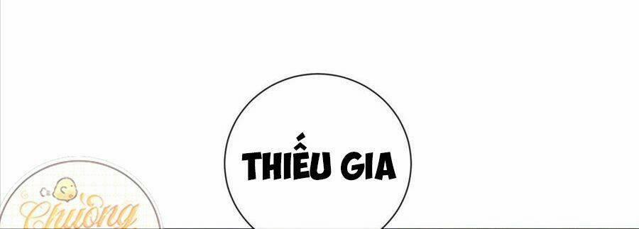 Boss Sát Thủ Dưỡng Hồ Yêu 23 trang 42