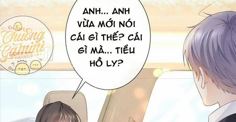 Boss Sát Thủ Dưỡng Hồ Yêu 23 trang 7