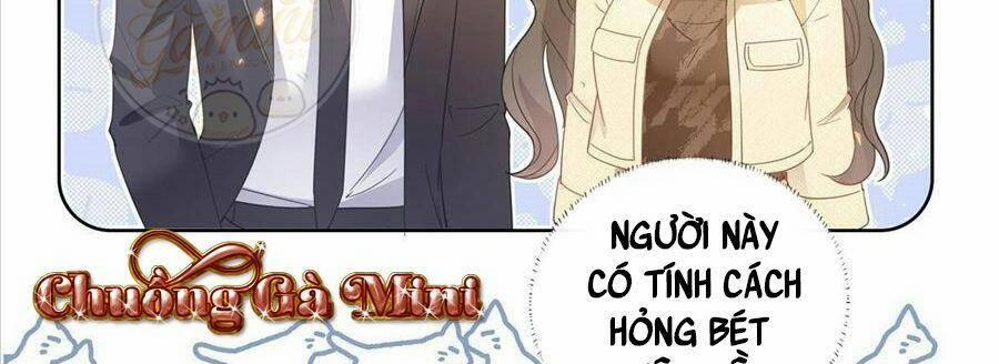 Boss Sát Thủ Dưỡng Hồ Yêu 24 trang 116