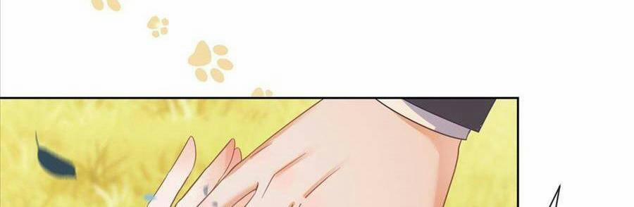 Boss Sát Thủ Dưỡng Hồ Yêu 24 trang 15