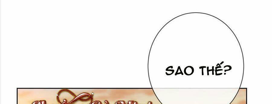 Boss Sát Thủ Dưỡng Hồ Yêu 24 trang 6