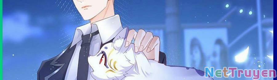 Boss Sát Thủ Dưỡng Hồ Yêu 26 trang 127