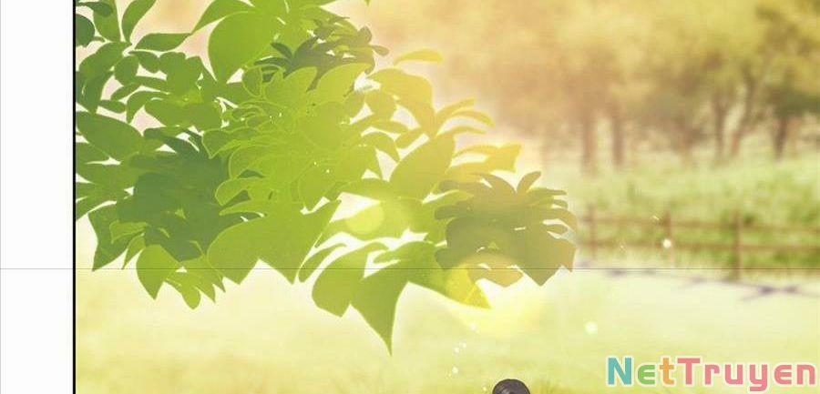 Boss Sát Thủ Dưỡng Hồ Yêu 26 trang 35