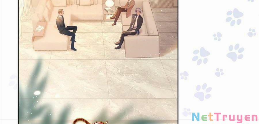 Boss Sát Thủ Dưỡng Hồ Yêu 26 trang 8