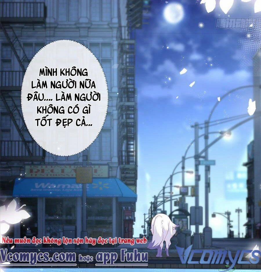 Boss Sát Thủ Dưỡng Hồ Yêu 29 trang 32