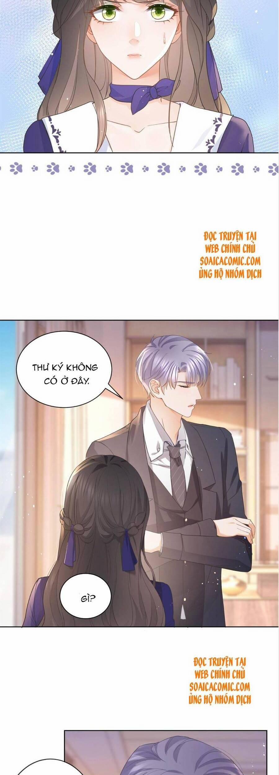 Boss Sát Thủ Dưỡng Hồ Yêu 40 trang 3