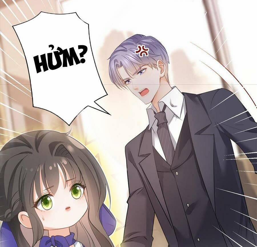 Boss Sát Thủ Dưỡng Hồ Yêu 41 trang 0