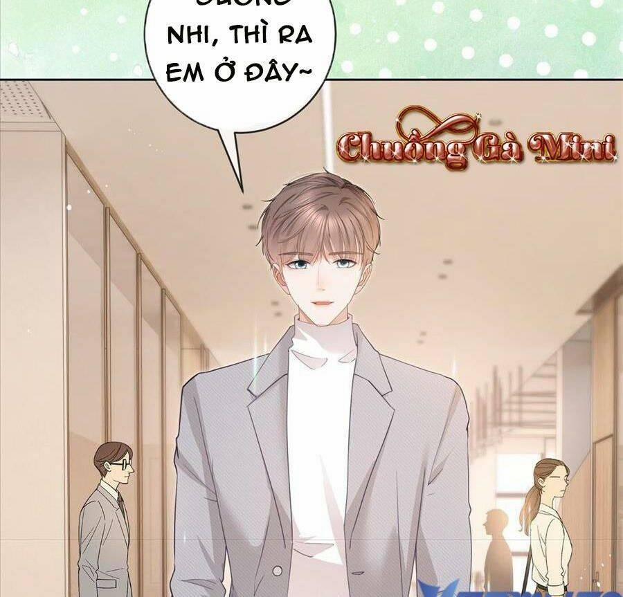 Boss Sát Thủ Dưỡng Hồ Yêu 41 trang 24