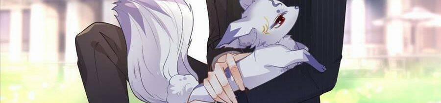 Boss Sát Thủ Dưỡng Hồ Yêu 53 trang 2