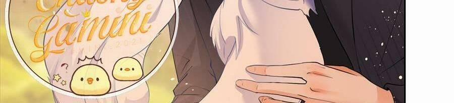 Boss Sát Thủ Dưỡng Hồ Yêu 54 trang 32