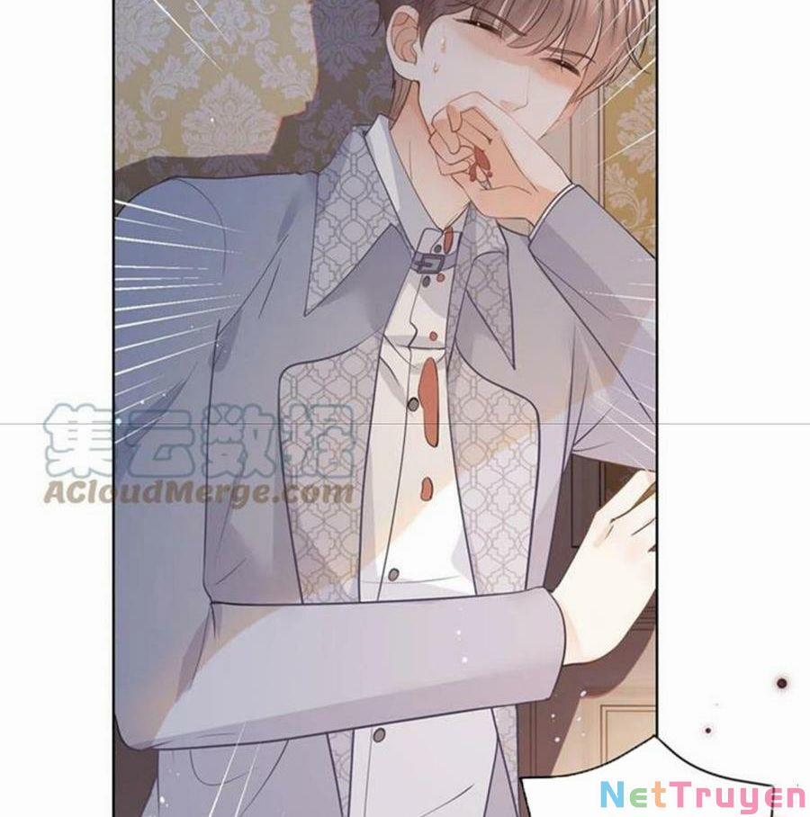 Boss Sát Thủ Dưỡng Hồ Yêu 66 trang 17