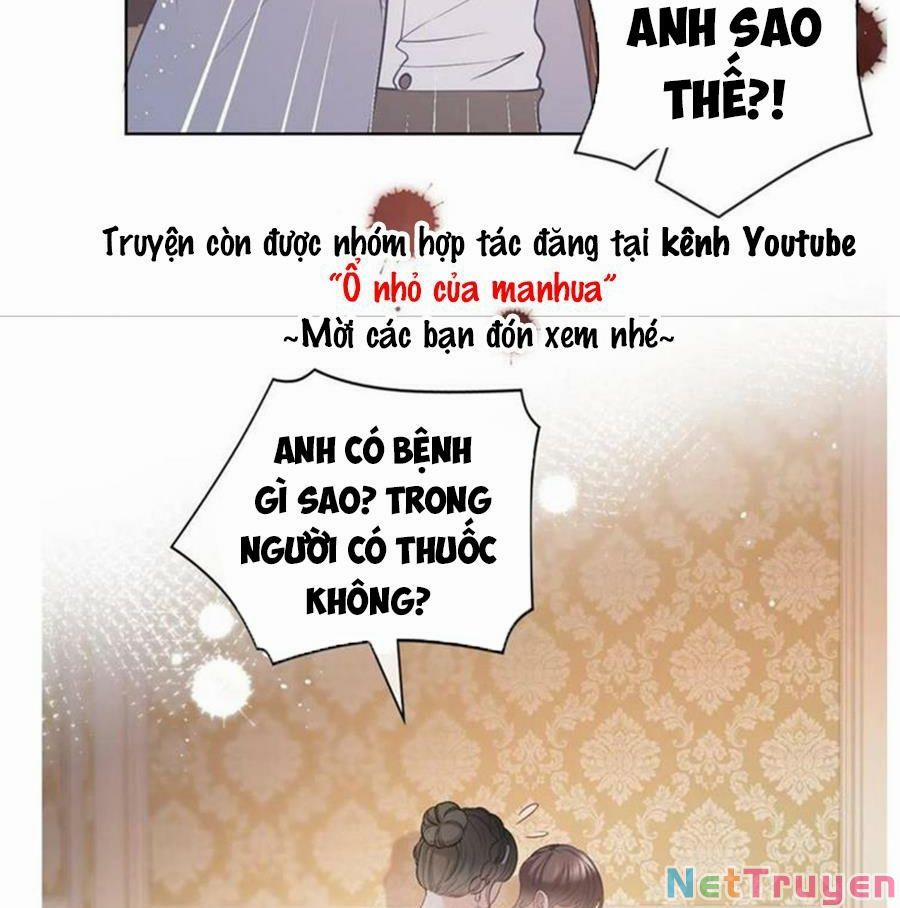 Boss Sát Thủ Dưỡng Hồ Yêu 66 trang 18