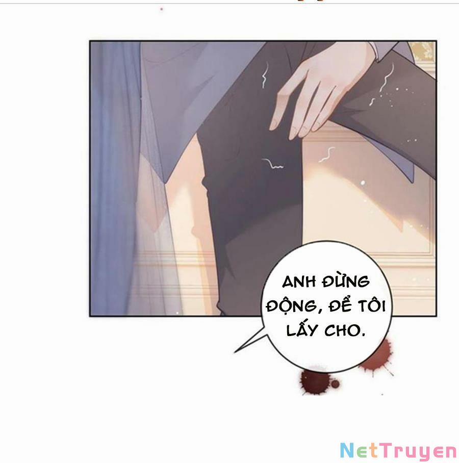 Boss Sát Thủ Dưỡng Hồ Yêu 66 trang 20