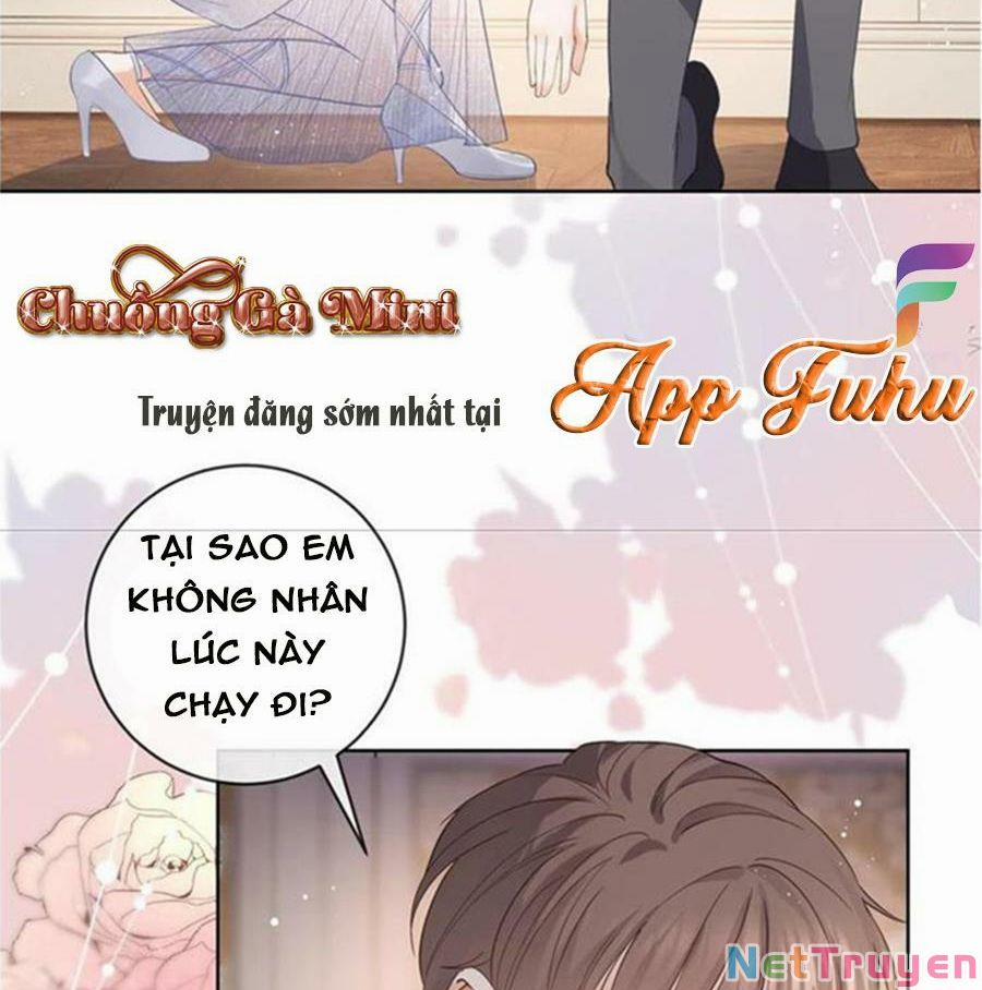 Boss Sát Thủ Dưỡng Hồ Yêu 66 trang 23