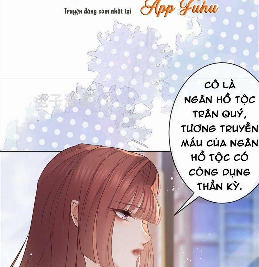 Boss Sát Thủ Dưỡng Hồ Yêu 70 trang 34