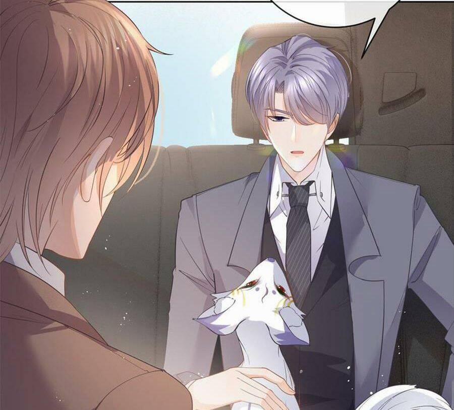 Boss Sát Thủ Dưỡng Hồ Yêu 72 trang 17