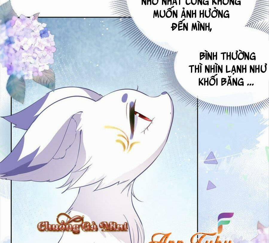 Boss Sát Thủ Dưỡng Hồ Yêu 72 trang 28