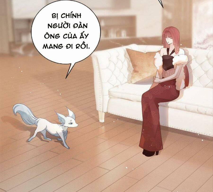 Boss Sát Thủ Dưỡng Hồ Yêu 72 trang 41