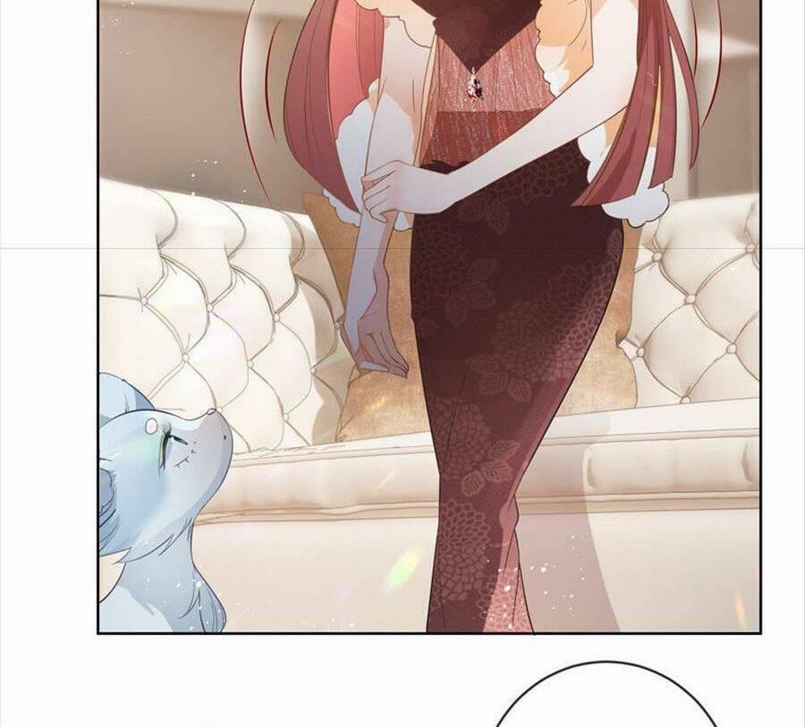 Boss Sát Thủ Dưỡng Hồ Yêu 72 trang 44