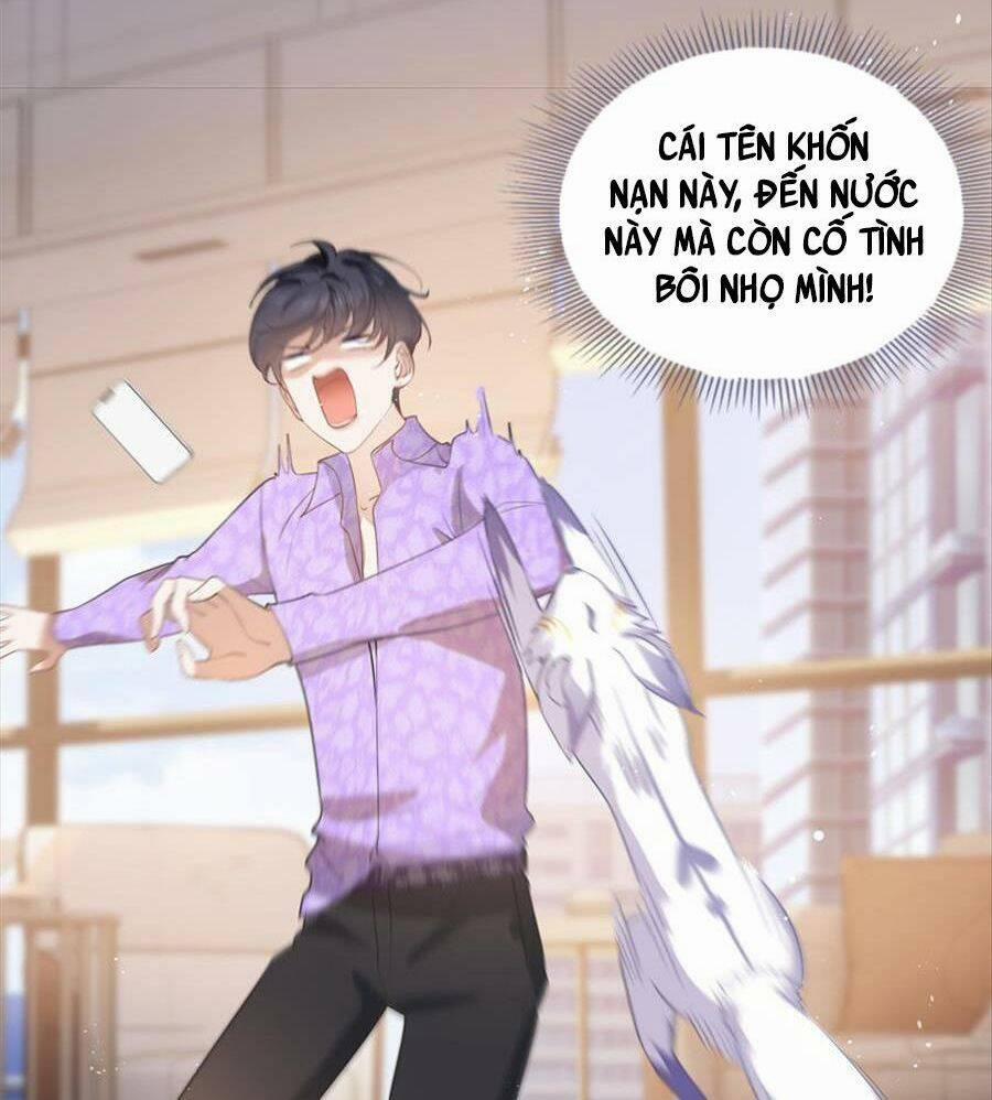 Boss Sát Thủ Dưỡng Hồ Yêu 73 trang 27