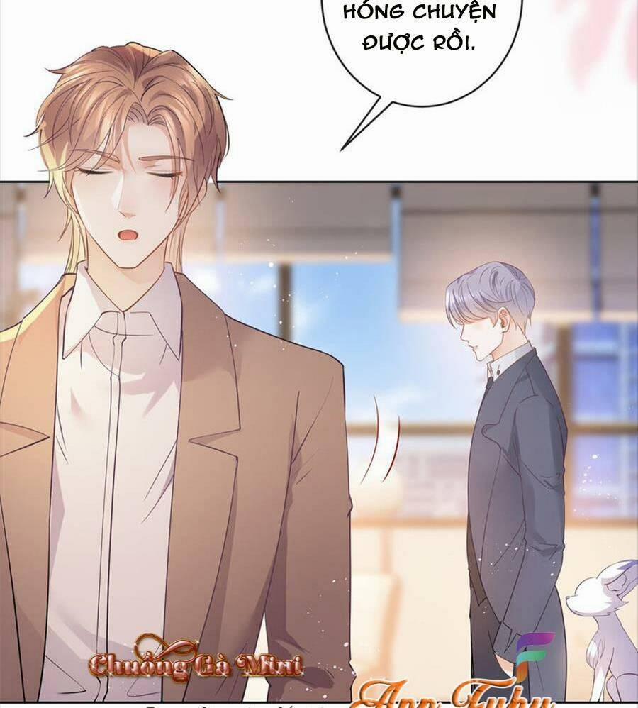 Boss Sát Thủ Dưỡng Hồ Yêu 73 trang 40