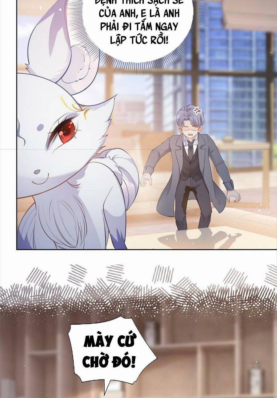 Boss Sát Thủ Dưỡng Hồ Yêu 75 trang 11