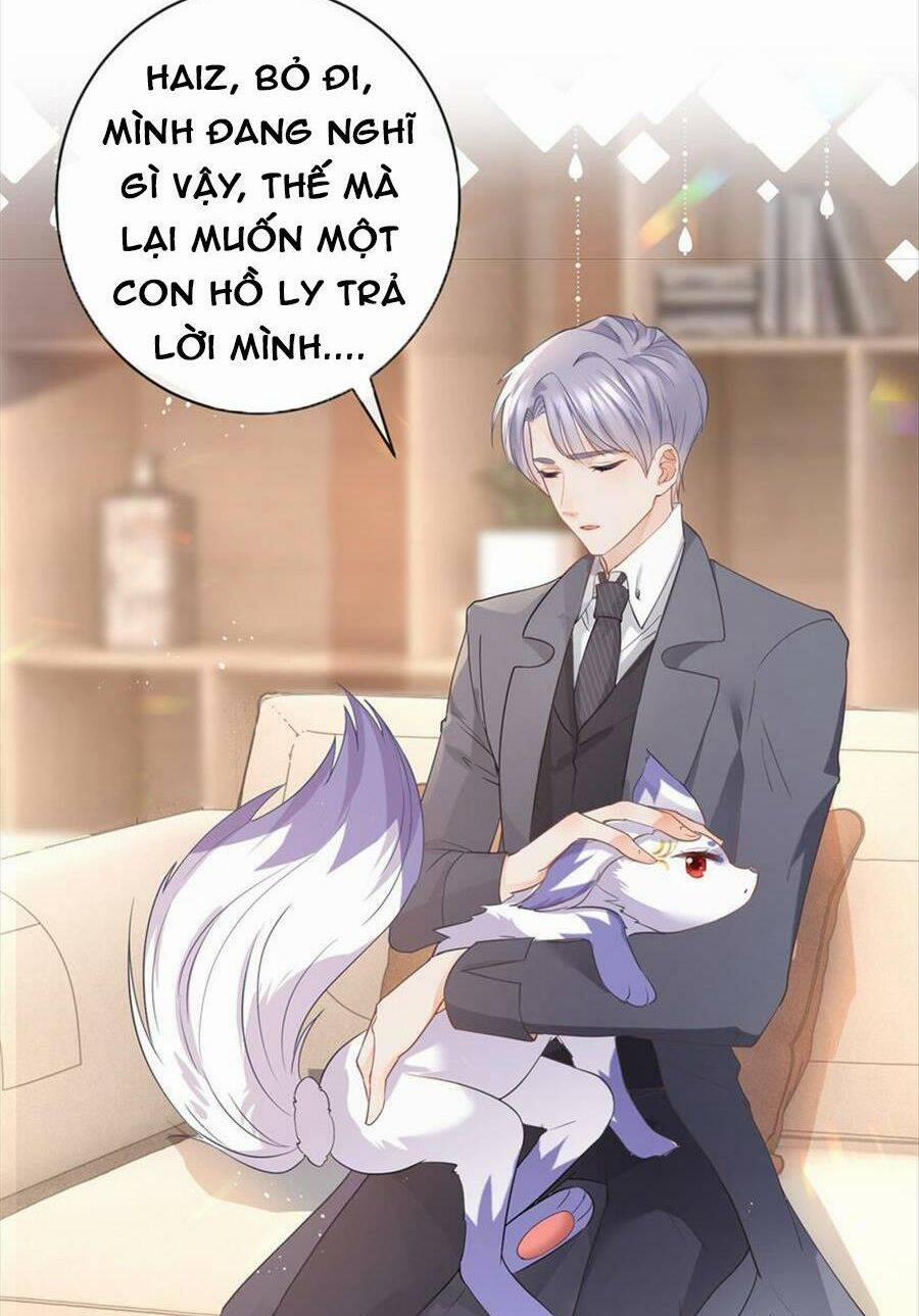 Boss Sát Thủ Dưỡng Hồ Yêu 75 trang 3