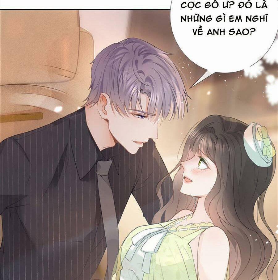 Boss Sát Thủ Dưỡng Hồ Yêu 77 trang 14